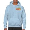 Heavy Blend Adult Hooded Sweatshirt Thumbnail