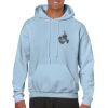 Heavy Blend Adult Hooded Sweatshirt Thumbnail