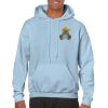 Heavy Blend Adult Hooded Sweatshirt Thumbnail