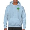 Heavy Blend Adult Hooded Sweatshirt Thumbnail