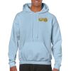 Heavy Blend Adult Hooded Sweatshirt Thumbnail