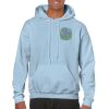 Heavy Blend Adult Hooded Sweatshirt Thumbnail