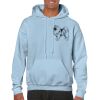 Heavy Blend Adult Hooded Sweatshirt Thumbnail