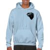 Heavy Blend Adult Hooded Sweatshirt Thumbnail