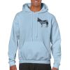 Heavy Blend Adult Hooded Sweatshirt Thumbnail