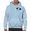 Heavy Blend Adult Hooded Sweatshirt Thumbnail
