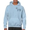 Heavy Blend Adult Hooded Sweatshirt Thumbnail