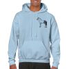Heavy Blend Adult Hooded Sweatshirt Thumbnail