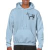 Heavy Blend Adult Hooded Sweatshirt Thumbnail