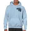 Heavy Blend Adult Hooded Sweatshirt Thumbnail