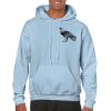 Heavy Blend Adult Hooded Sweatshirt Thumbnail