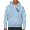 Heavy Blend Adult Hooded Sweatshirt Thumbnail