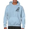 Heavy Blend Adult Hooded Sweatshirt Thumbnail