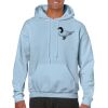 Heavy Blend Adult Hooded Sweatshirt Thumbnail