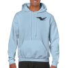 Heavy Blend Adult Hooded Sweatshirt Thumbnail