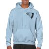 Heavy Blend Adult Hooded Sweatshirt Thumbnail