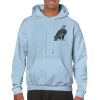 Heavy Blend Adult Hooded Sweatshirt Thumbnail