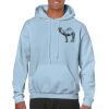 Heavy Blend Adult Hooded Sweatshirt Thumbnail