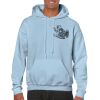 Heavy Blend Adult Hooded Sweatshirt Thumbnail