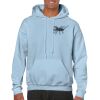 Heavy Blend Adult Hooded Sweatshirt Thumbnail