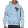 Heavy Blend Adult Hooded Sweatshirt Thumbnail