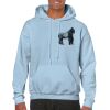 Heavy Blend Adult Hooded Sweatshirt Thumbnail