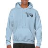 Heavy Blend Adult Hooded Sweatshirt Thumbnail