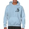 Heavy Blend Adult Hooded Sweatshirt Thumbnail