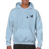 Heavy Blend Adult Hooded Sweatshirt Thumbnail