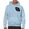Heavy Blend Adult Hooded Sweatshirt Thumbnail