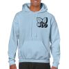 Heavy Blend Adult Hooded Sweatshirt Thumbnail