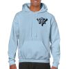 Heavy Blend Adult Hooded Sweatshirt Thumbnail