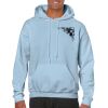 Heavy Blend Adult Hooded Sweatshirt Thumbnail