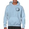 Heavy Blend Adult Hooded Sweatshirt Thumbnail