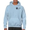 Heavy Blend Adult Hooded Sweatshirt Thumbnail