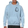 Heavy Blend Adult Hooded Sweatshirt Thumbnail