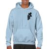 Heavy Blend Adult Hooded Sweatshirt Thumbnail
