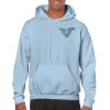 Heavy Blend Adult Hooded Sweatshirt Thumbnail
