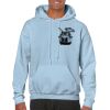 Heavy Blend Adult Hooded Sweatshirt Thumbnail