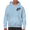 Heavy Blend Adult Hooded Sweatshirt Thumbnail