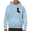 Heavy Blend Adult Hooded Sweatshirt Thumbnail