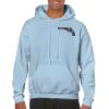 Heavy Blend Adult Hooded Sweatshirt Thumbnail