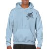 Heavy Blend Adult Hooded Sweatshirt Thumbnail