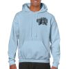 Heavy Blend Adult Hooded Sweatshirt Thumbnail