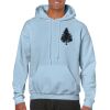 Heavy Blend Adult Hooded Sweatshirt Thumbnail