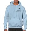 Heavy Blend Adult Hooded Sweatshirt Thumbnail