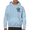 Heavy Blend Adult Hooded Sweatshirt Thumbnail
