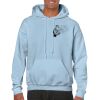 Heavy Blend Adult Hooded Sweatshirt Thumbnail