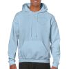 Heavy Blend Adult Hooded Sweatshirt Thumbnail