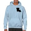 Heavy Blend Adult Hooded Sweatshirt Thumbnail